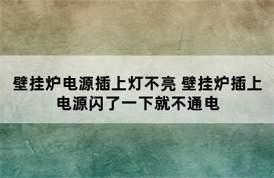 壁挂炉电源插上灯不亮 壁挂炉插上电源闪了一下就不通电